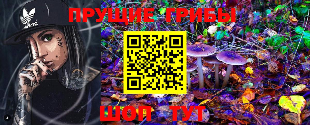 Галлюциногенные грибы Cubensis Киров