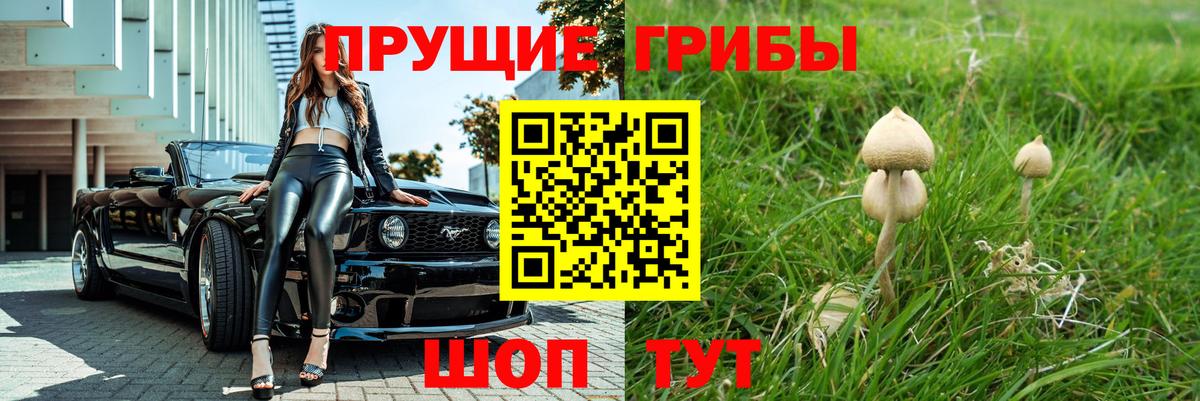 Галлюциногенные грибы Magic Shrooms  Галлюциногенные грибы Magic Shrooms  Киров  Вход с VPN 